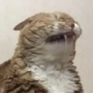 Стикер ЖивАтные - 0