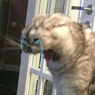 Стикер ЖивАтные - 4