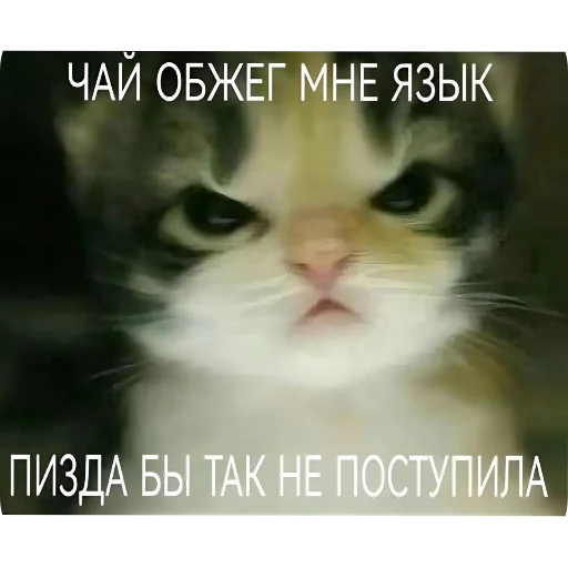 Стикер Dota_2_govno - 1