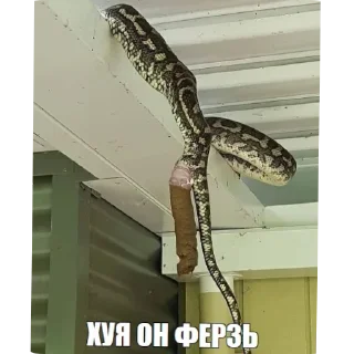 Стикер 14z88v - 2