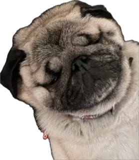 Стикер Double Dog - 2