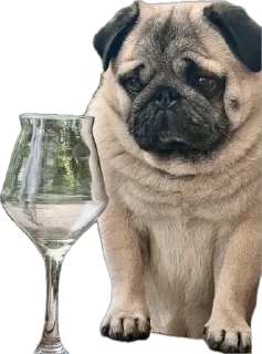 Стикер Double Dog - 4