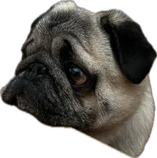 Стикер Double Dog - 7