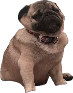 Стикер Double Dog - 1