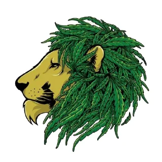 Стикер @OutDr растим на улице) - 10