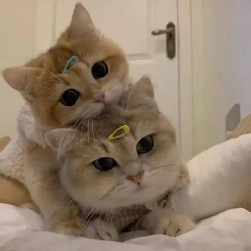 Zzbabe :: @fStikBot - 