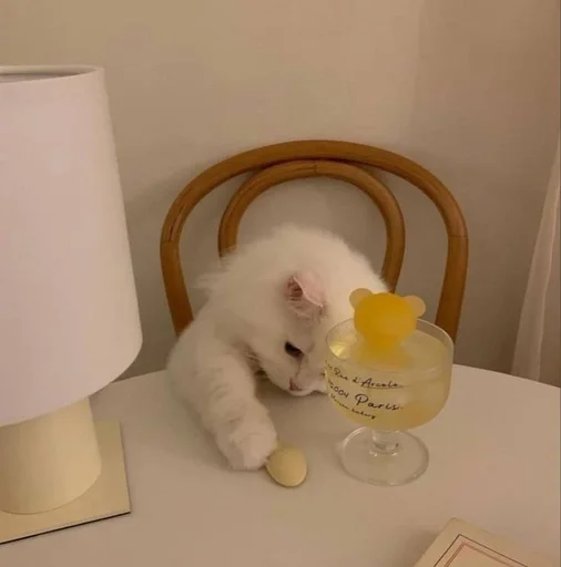 Стикер Zzbabe :: @fStikBot - 9