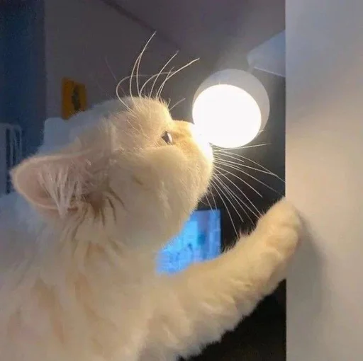 Стикер Zzbabe :: @fStikBot - 5