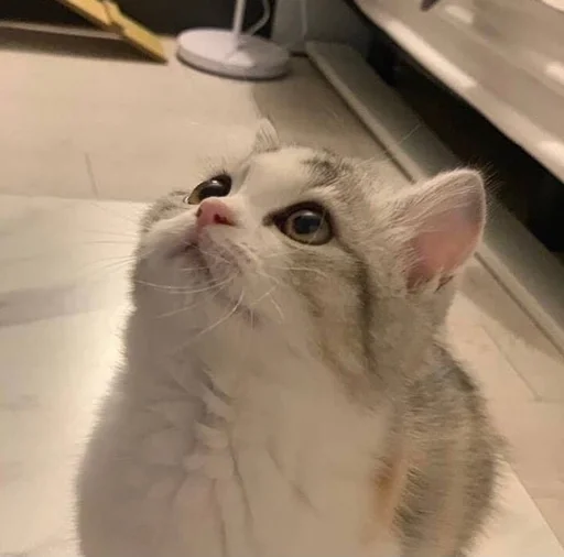 Стикер Zzbabe :: @fStikBot - 3