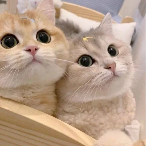 Стикер Zzbabe :: @fStikBot - 2