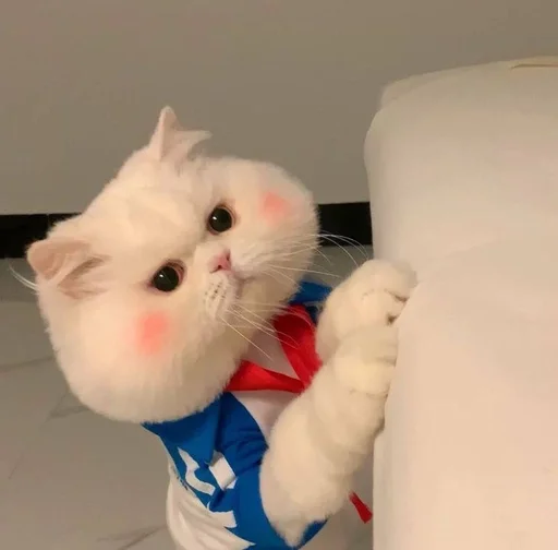 Стикер Zzbabe :: @fStikBot - 0