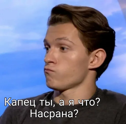 Sticker Мемы сетки Dream Airis - 9