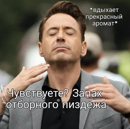 Sticker Мемы сетки Dream Airis - 6