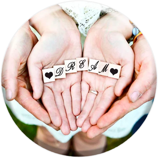 Sticker DreamPRO100 - 1