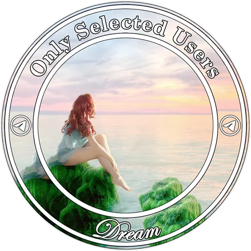 Стикер DreamPRO100 - 1