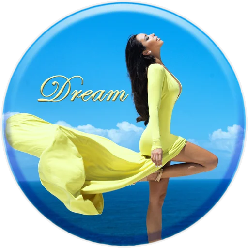 Sticker DreamPRO100 - 1