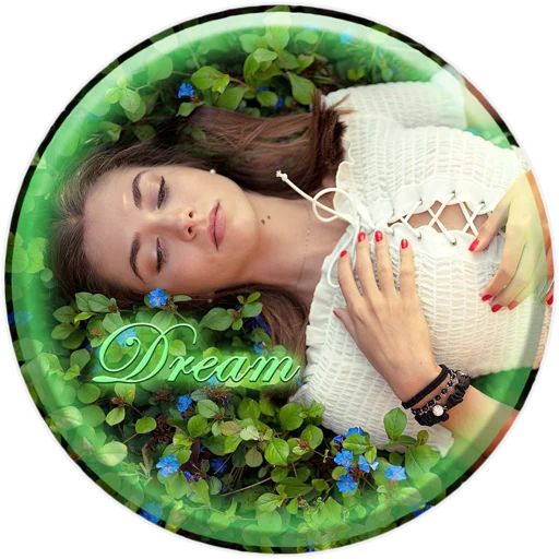 Sticker DreamPRO100 - 1