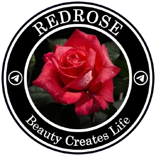 Sticker Dream Channel Stickers - 3