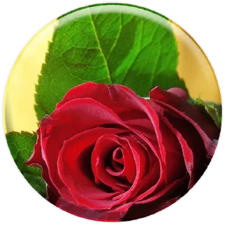 Sticker Dream Channel Stickers - 5