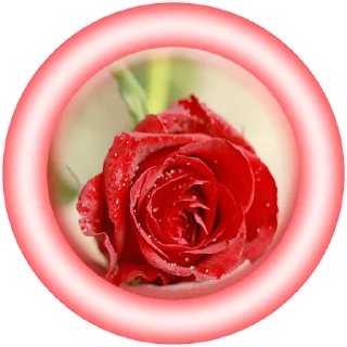 Sticker Dream Channel Stickers - 7