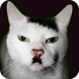 Sticker Древний хойщик - 9