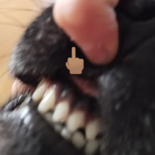 Sticker DrillGerl - 1