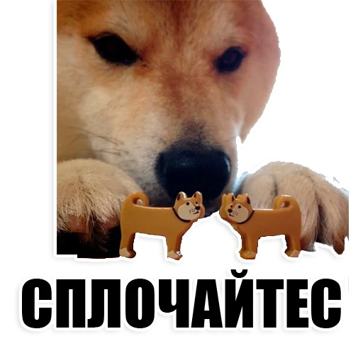 Стикер Drinkins_pack - 1