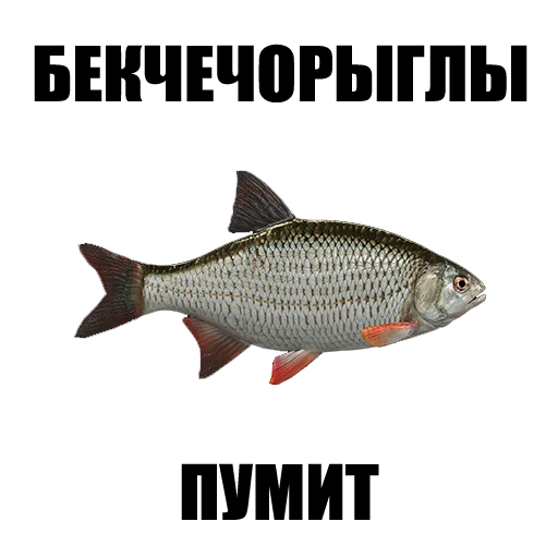 Стикер Drinkins_pack - 1