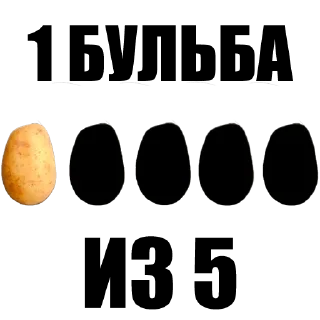 Sticker drinkins pack - 6