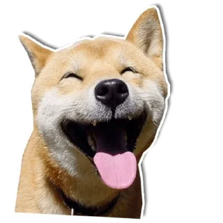 Sticker DogStyle @FranceCanal - 2