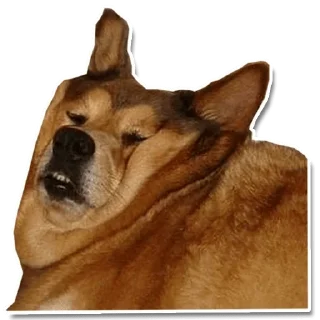 Sticker DogStyle @FranceCanal - 7