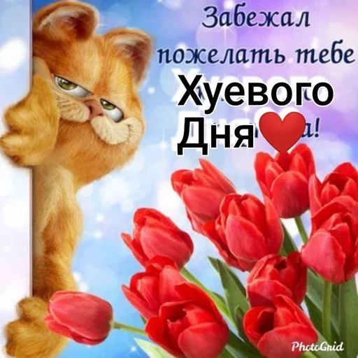 Стикер DrusVHjnYOf_by_stickers_stealer_bot - 1