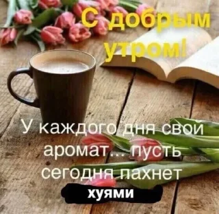 Sticker Больше стикеров 👉🏻 @stickertg4 - 0