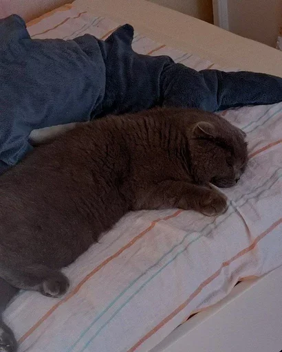 Sticker Дружбан 88 - 1