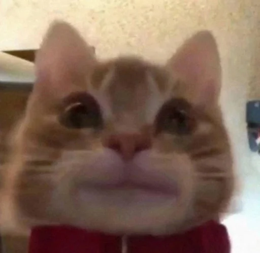 Sticker DsCuteStikers - 1