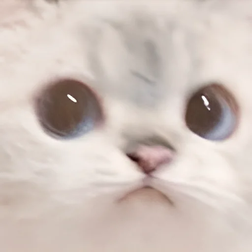 Sticker DsCuteStikers - 1