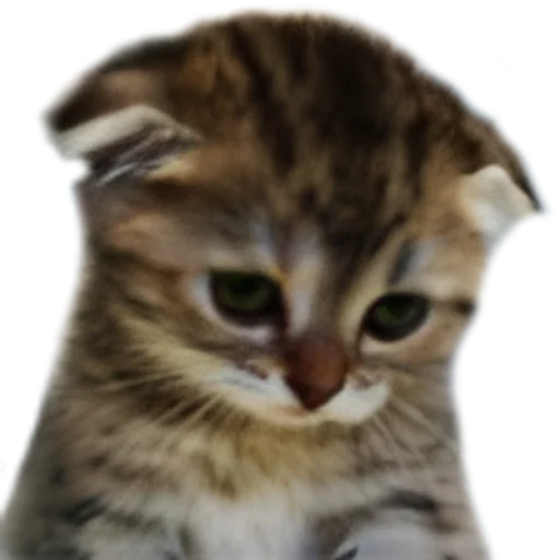 Стикер DsCuteStikers - 1