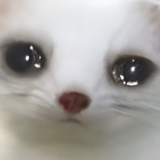 Sticker DsCuteStikers - 1