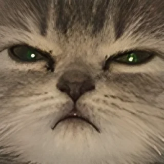 Стикер UwU - 5