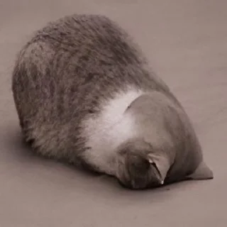 Стикер UwU - 0