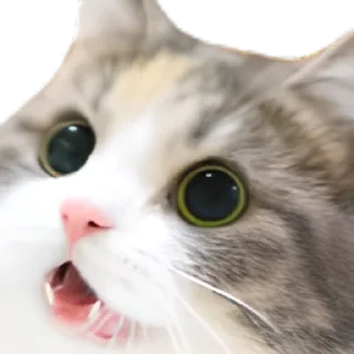 Стикер UwU - 4