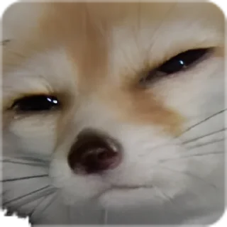 Стикер UwU - 10