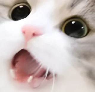 Стикер UwU - 1