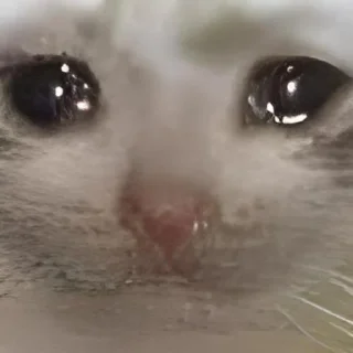 Стикер UwU - 9