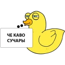 Утка-подозревака - СМС