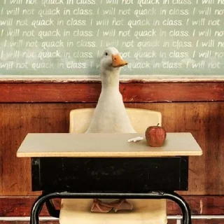 Sticker Ducks and Geese - 4