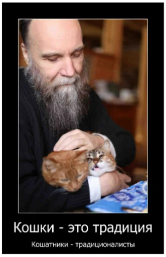 Человек человеческое лицо человеческая борода