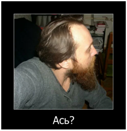 Человек человеческое лицо человеческая борода