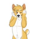 Sticker Duke Corgi - 4