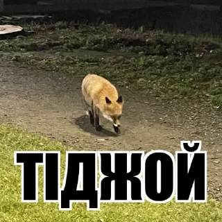 Sticker СТИКЕРПАК ПАЦАНЫ - 0